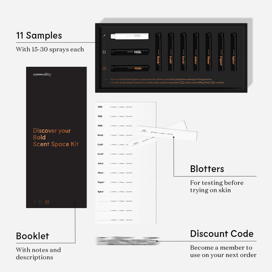 Bold Discovery Kit